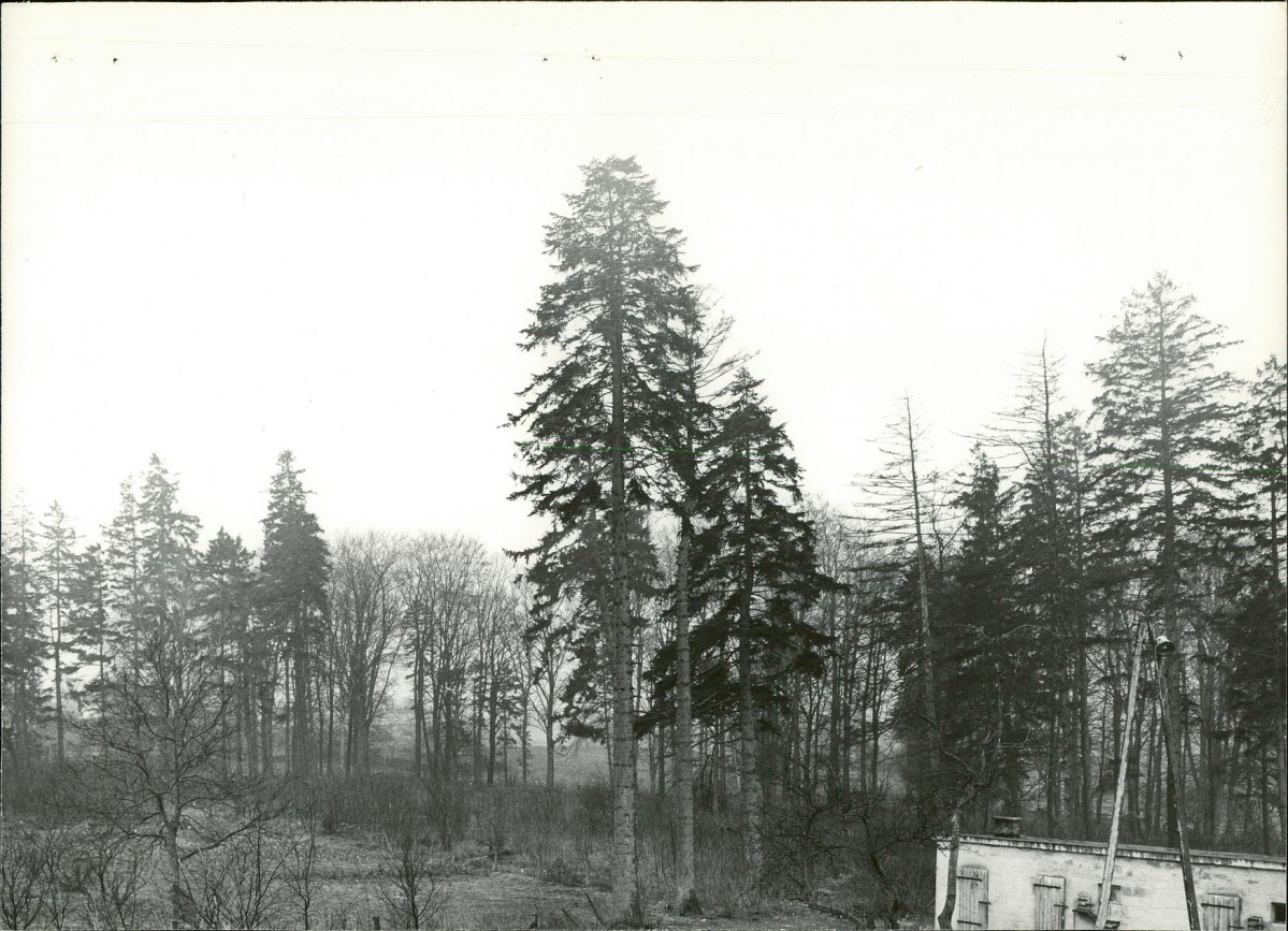 Ewidencja parkowa, skan nr 18
