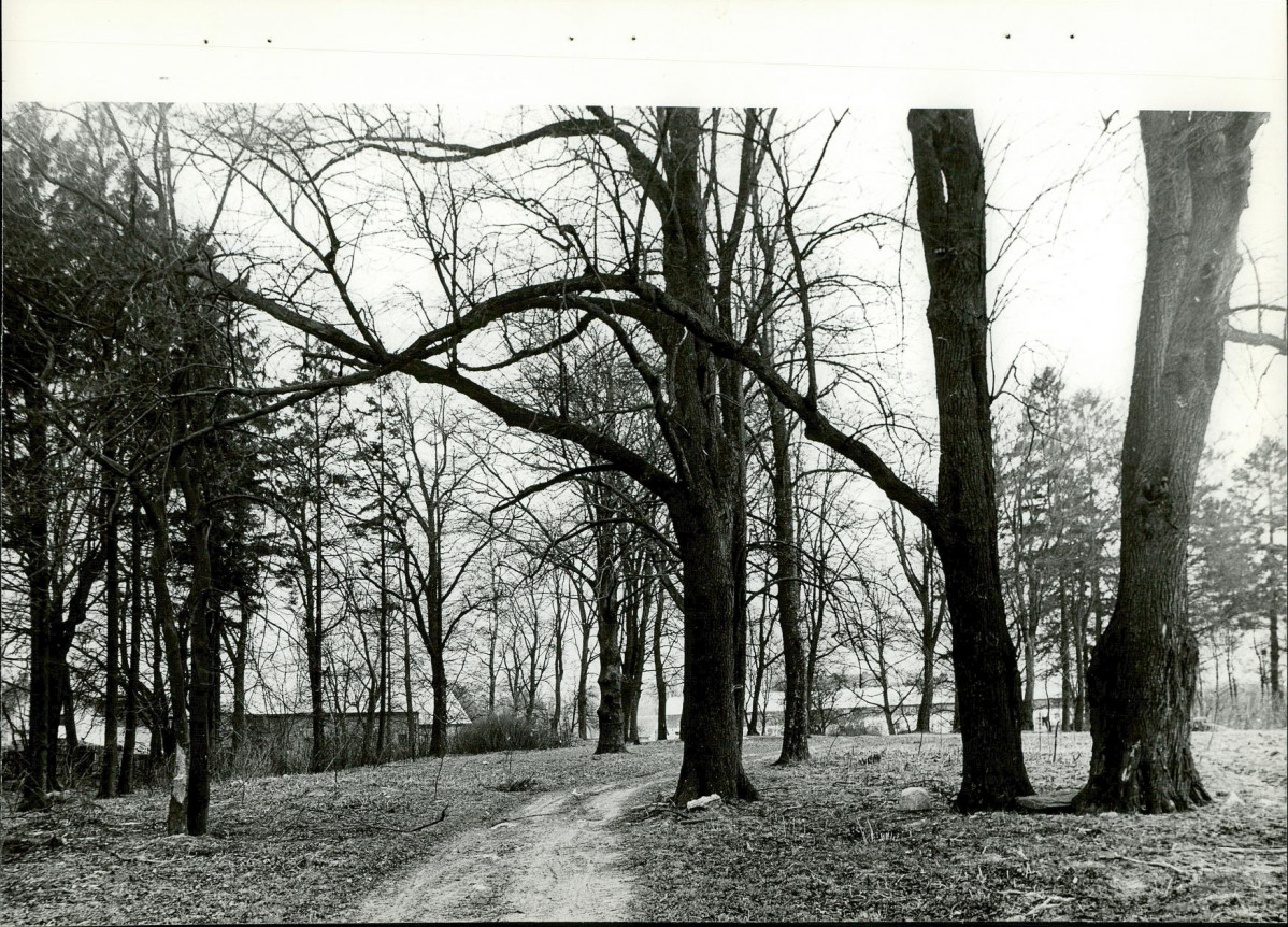 Ewidencja parkowa, skan nr 21