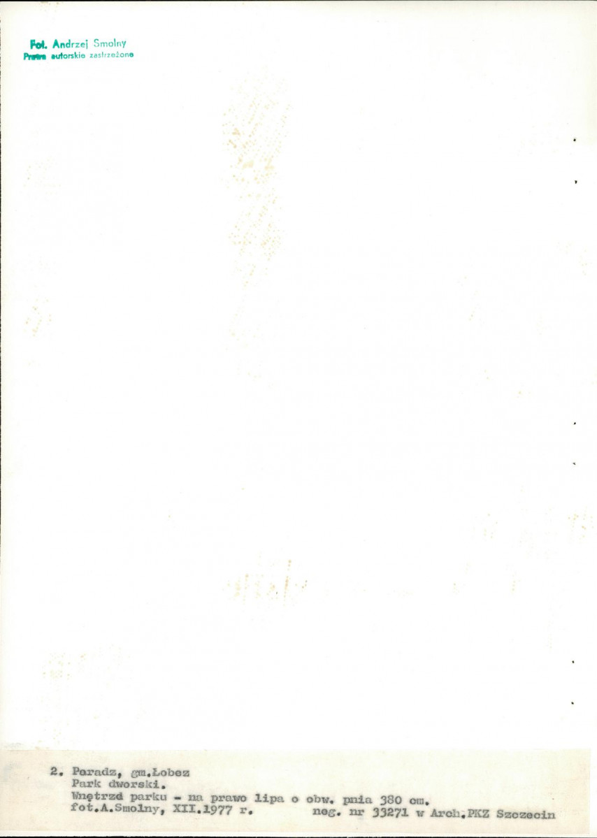 Ewidencja parkowa, skan nr 22