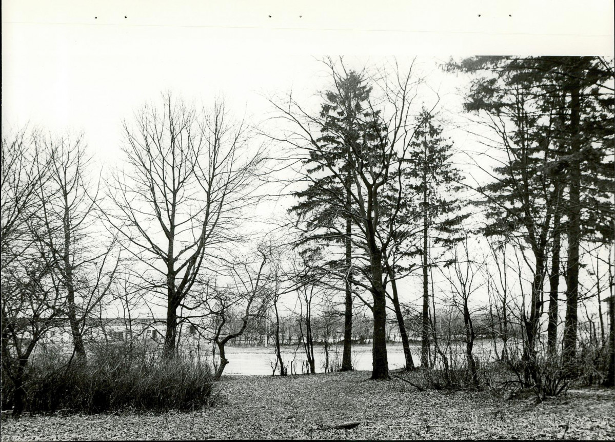 Ewidencja parkowa, skan nr 23