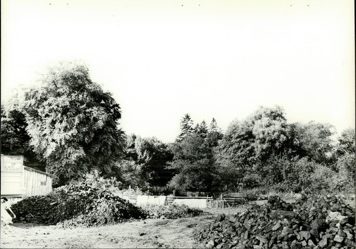 Ewidencja parkowa, skan nr 22