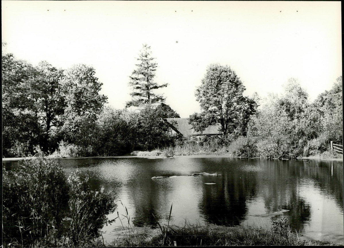 Ewidencja parkowa, skan nr 24