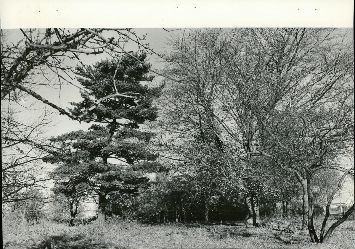Ewidencja parkowa, skan nr 20