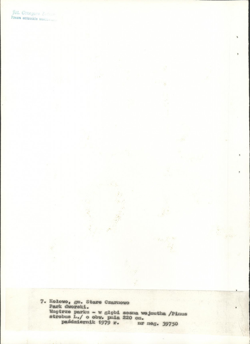 Ewidencja parkowa, skan nr 21