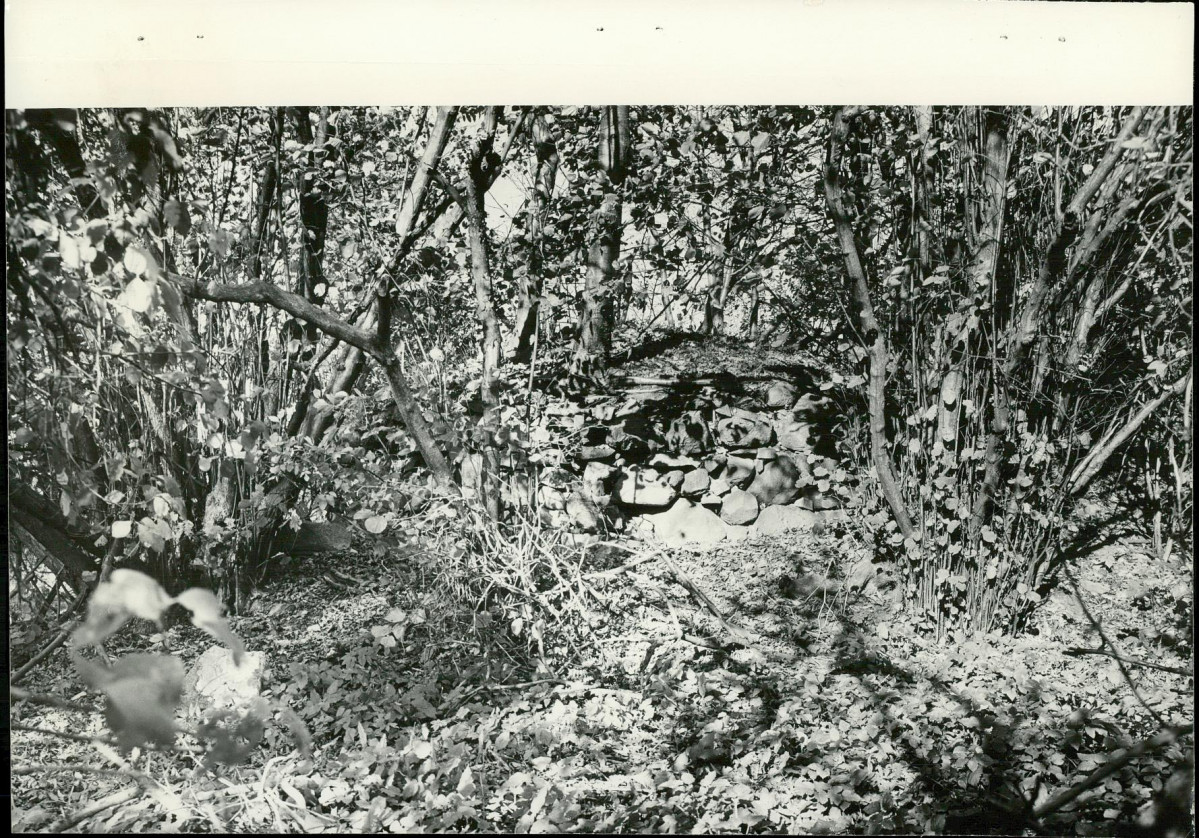 Ewidencja parkowa, skan nr 22