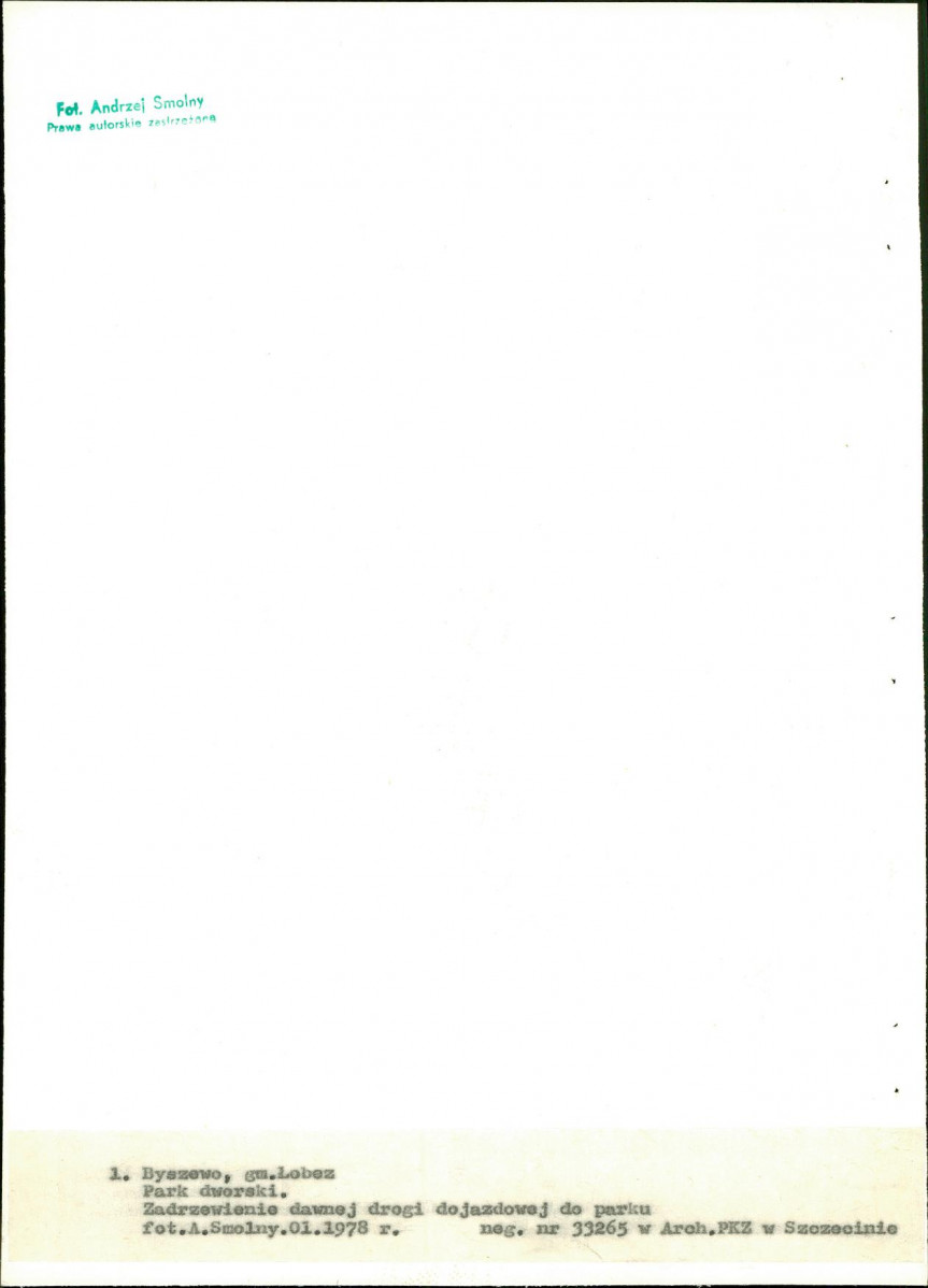 Ewidencja parkowa, skan nr 20