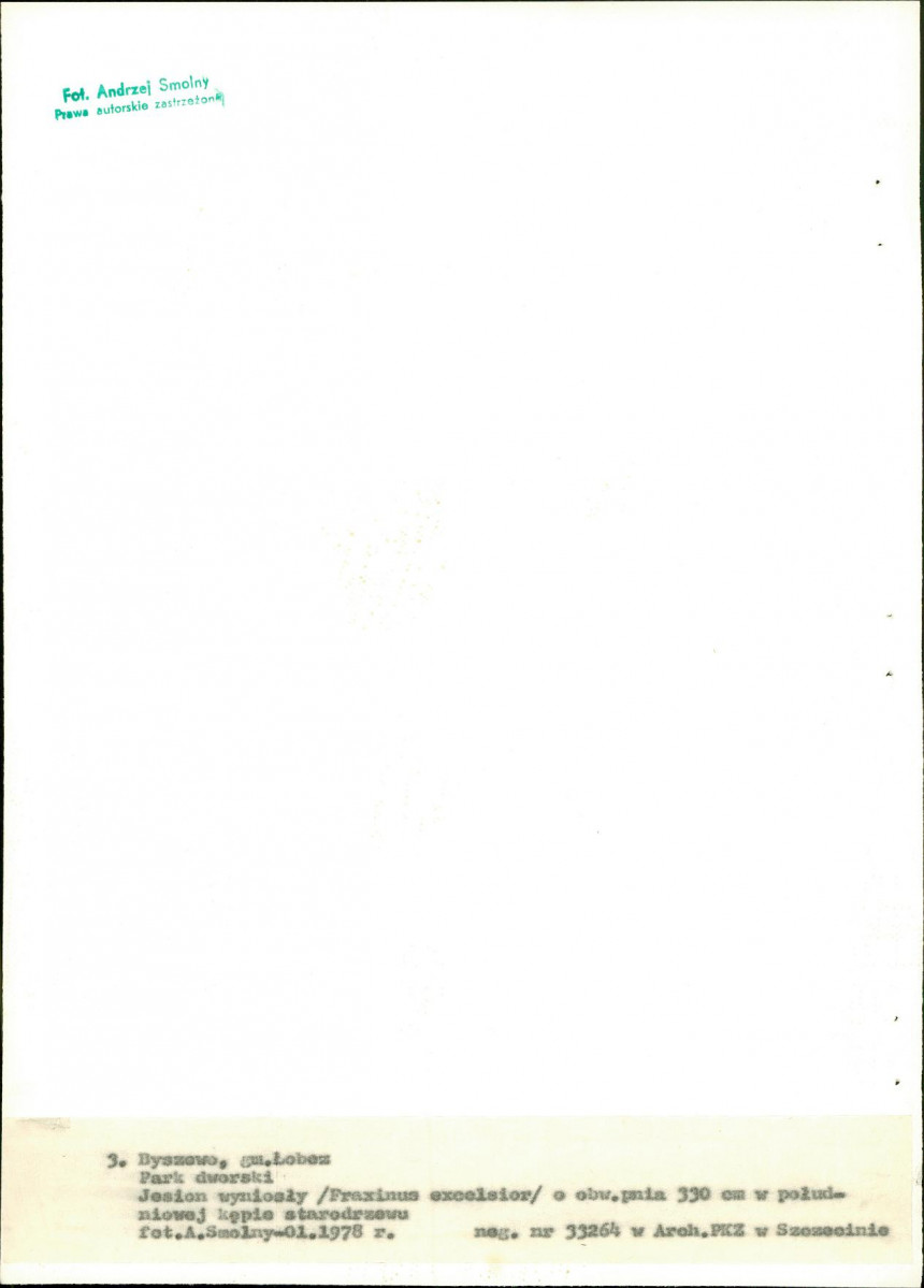 Ewidencja parkowa, skan nr 24