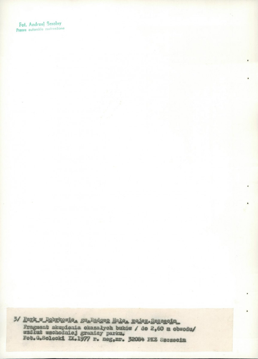 Ewidencja parkowa, skan nr 22