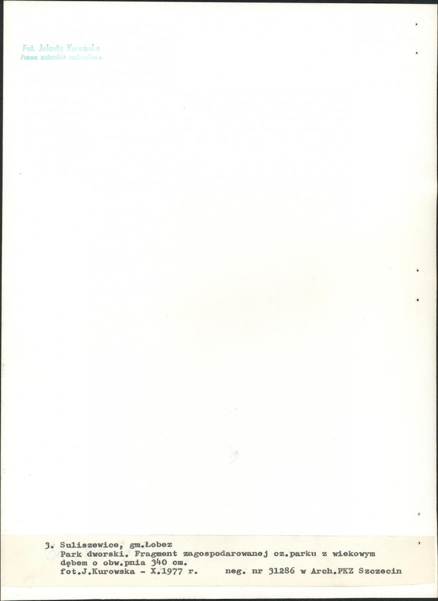 Ewidencja parkowa, skan nr 19