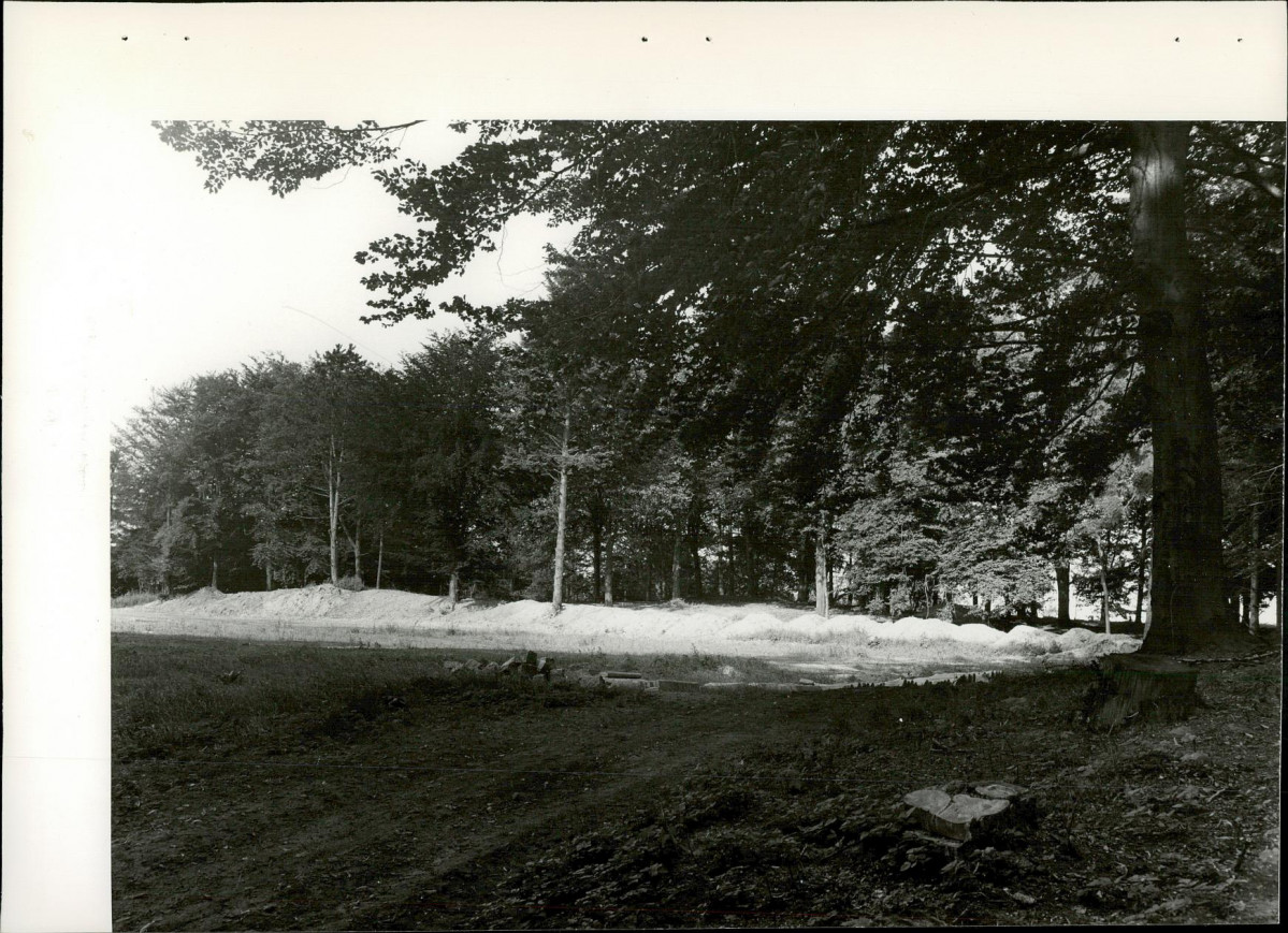 Ewidencja parkowa, skan nr 20