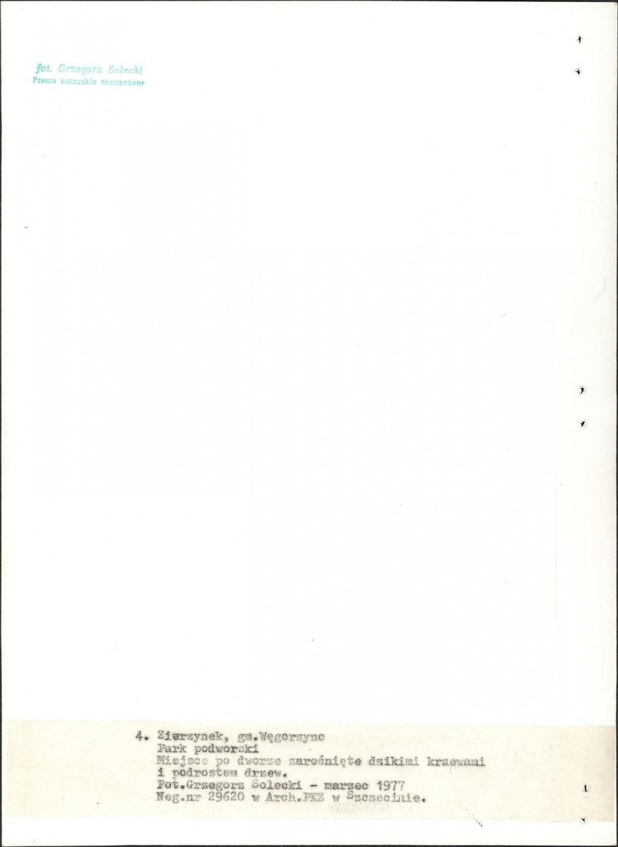 Ewidencja parkowa, skan nr 21