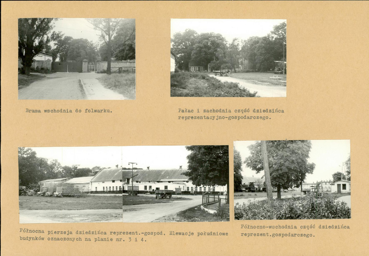 Karta biała, skan nr 6