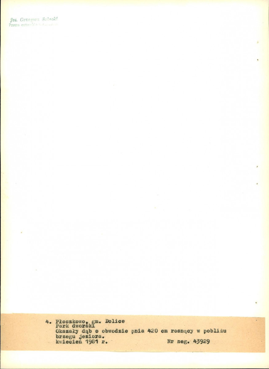 EP - Ewidencja parkowa, skan nr 23