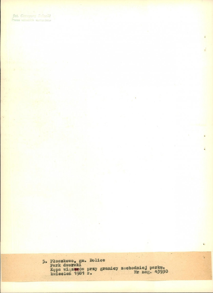 EP - Ewidencja parkowa, skan nr 25