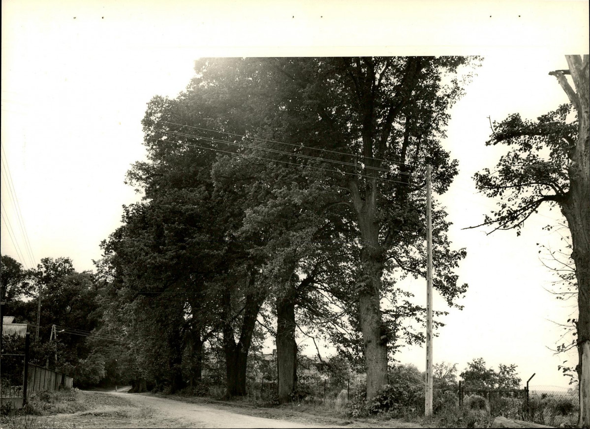 Ewidencja parkowa, skan nr 20