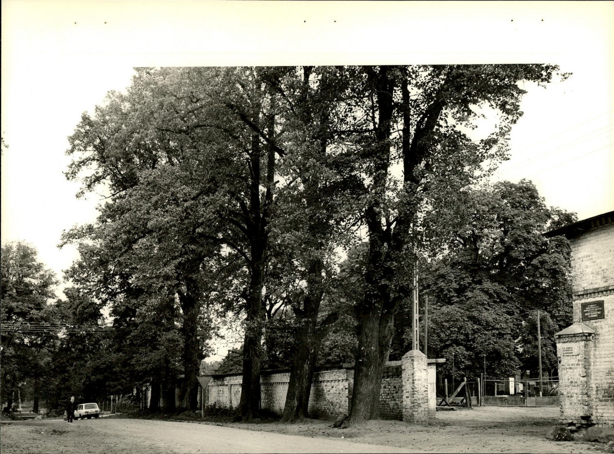 Ewidencja parkowa, skan nr 22