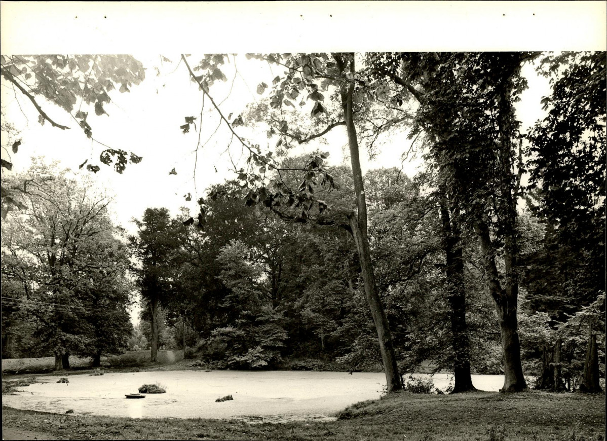 Ewidencja parkowa, skan nr 26