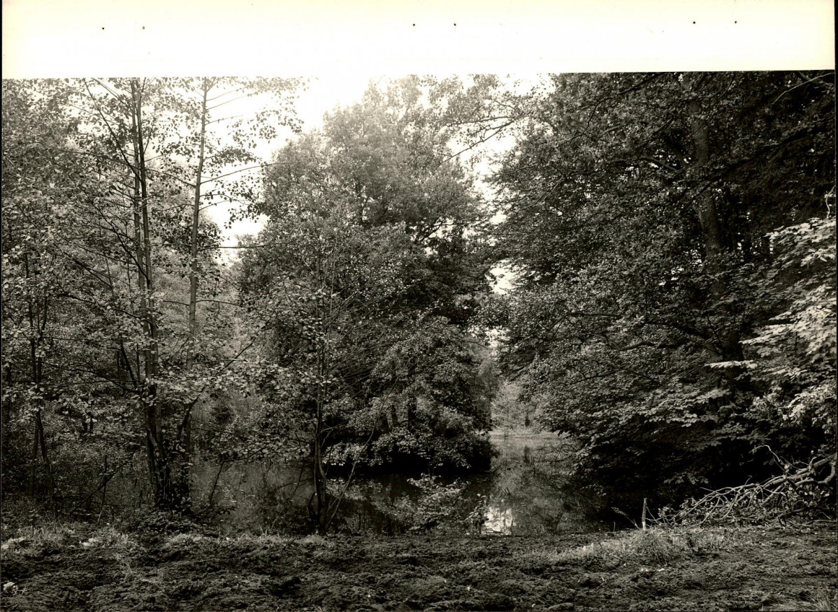 Ewidencja parkowa, skan nr 28