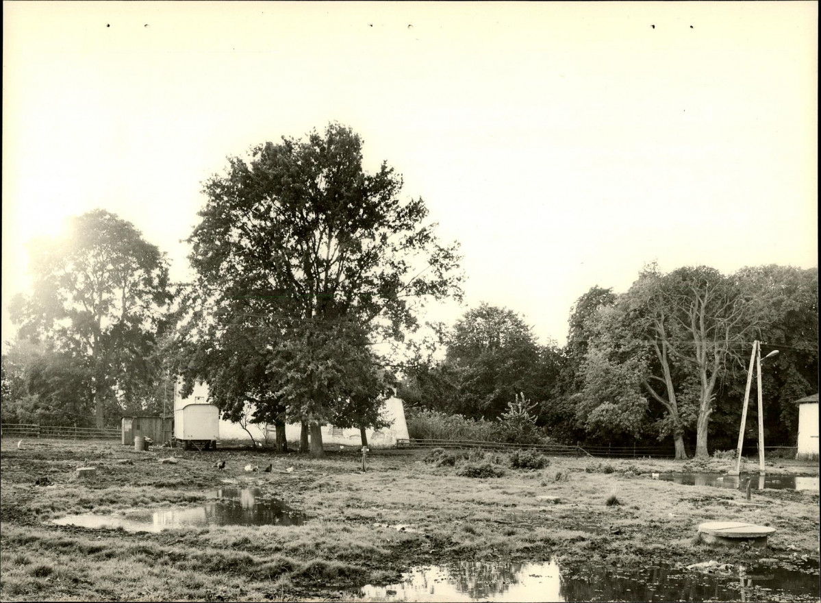 Ewidencja parkowa, skan nr 26