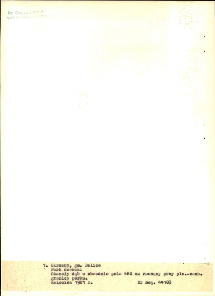 EP - Ewidencja parkowa, skan nr 20