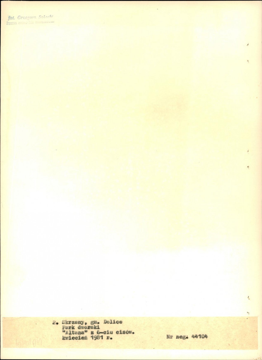 EP - Ewidencja parkowa, skan nr 22