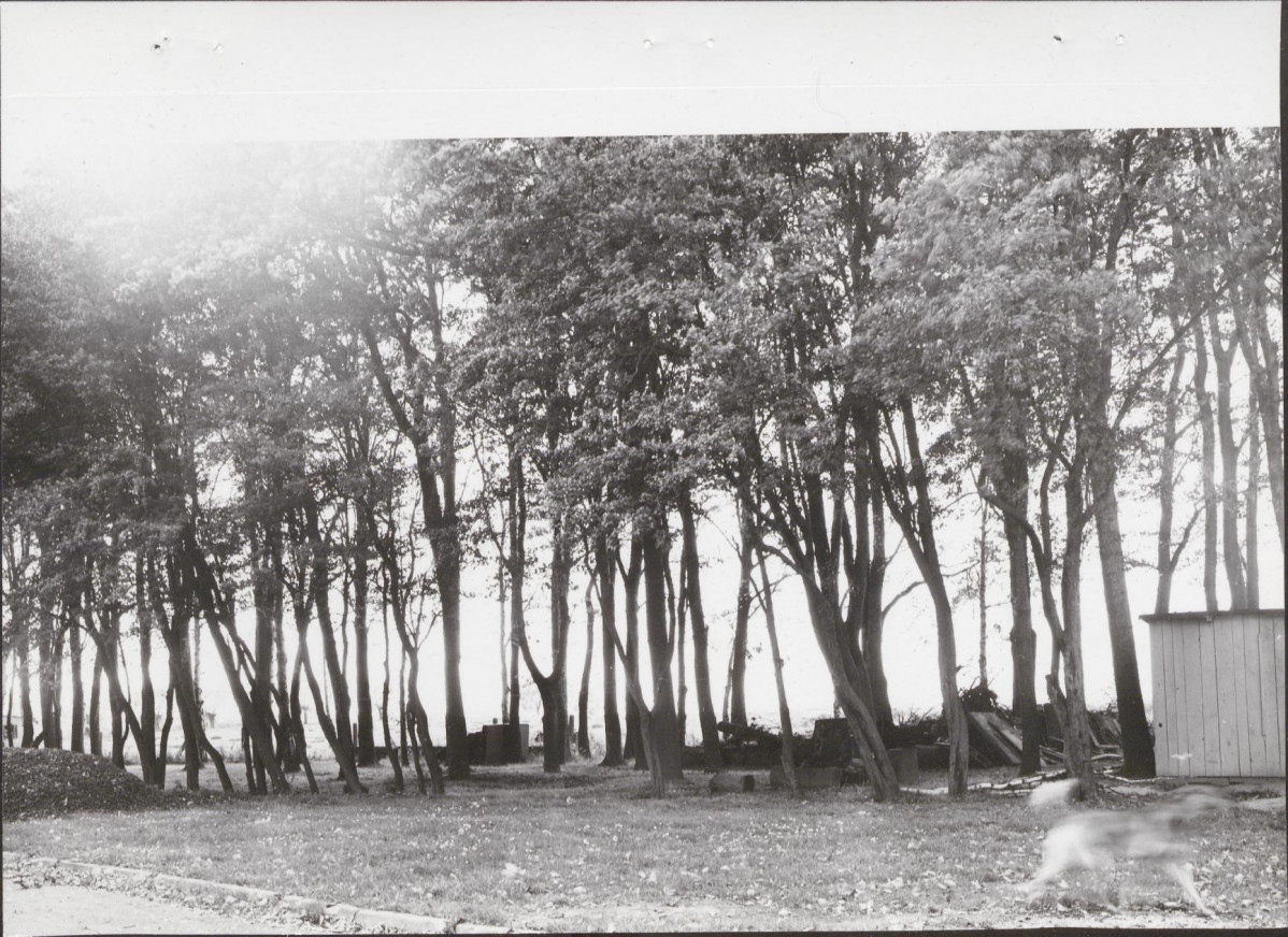 Ewidencja parkowa, skan nr 20