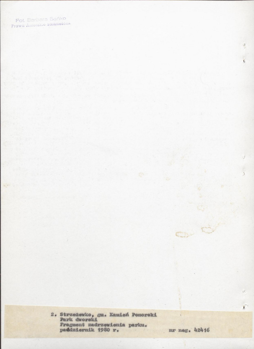 Ewidencja parkowa, skan nr 21