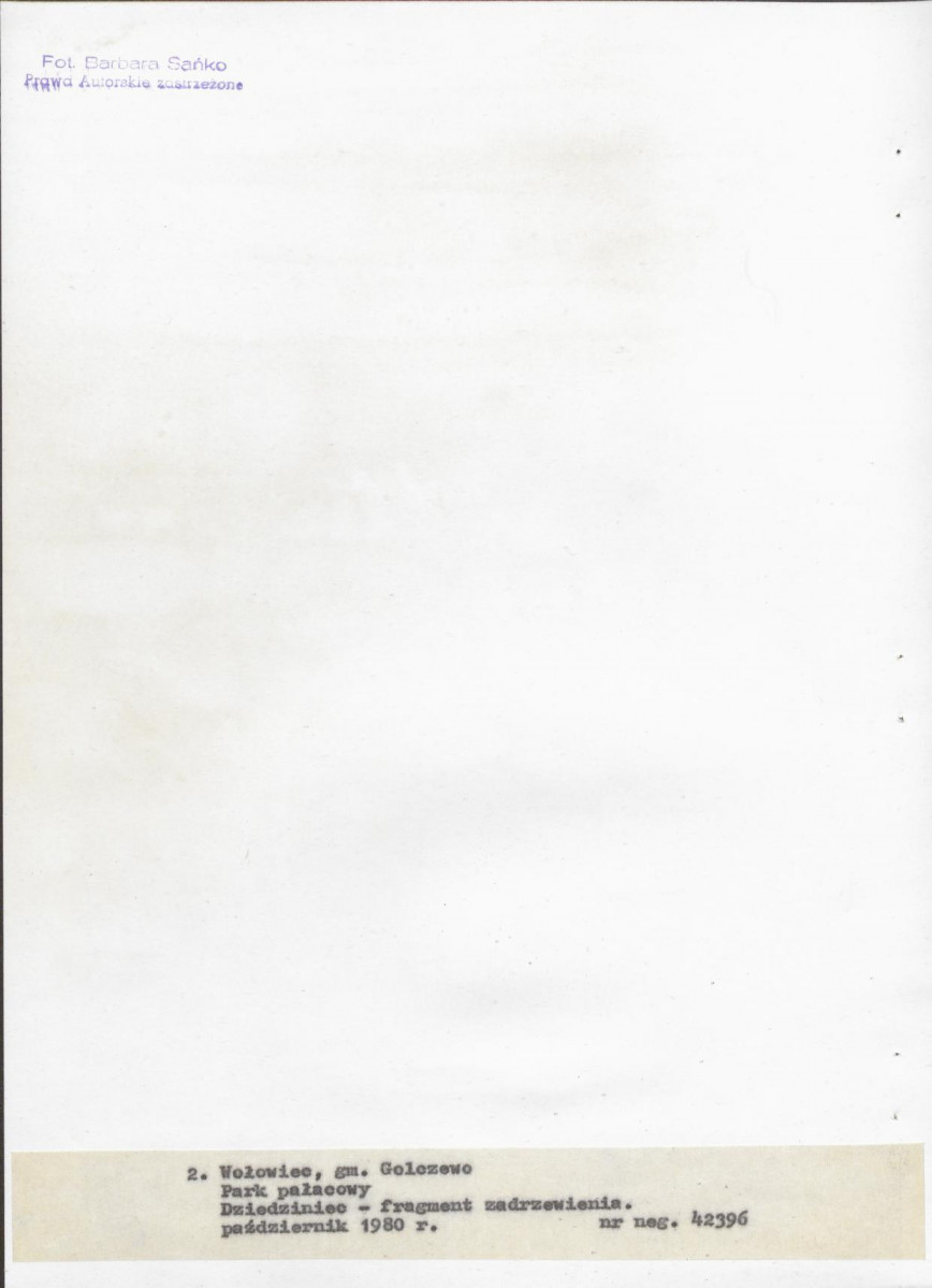 Ewidencja parkowa, skan nr 21