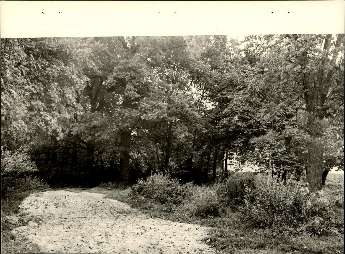 Ewidencja parkowa, skan nr 21