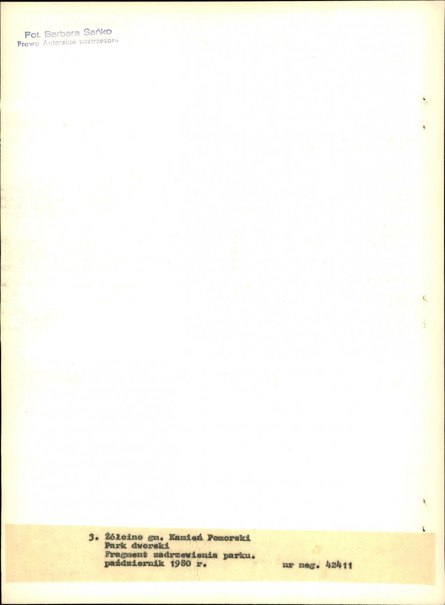 Ewidencja parkowa, skan nr 22