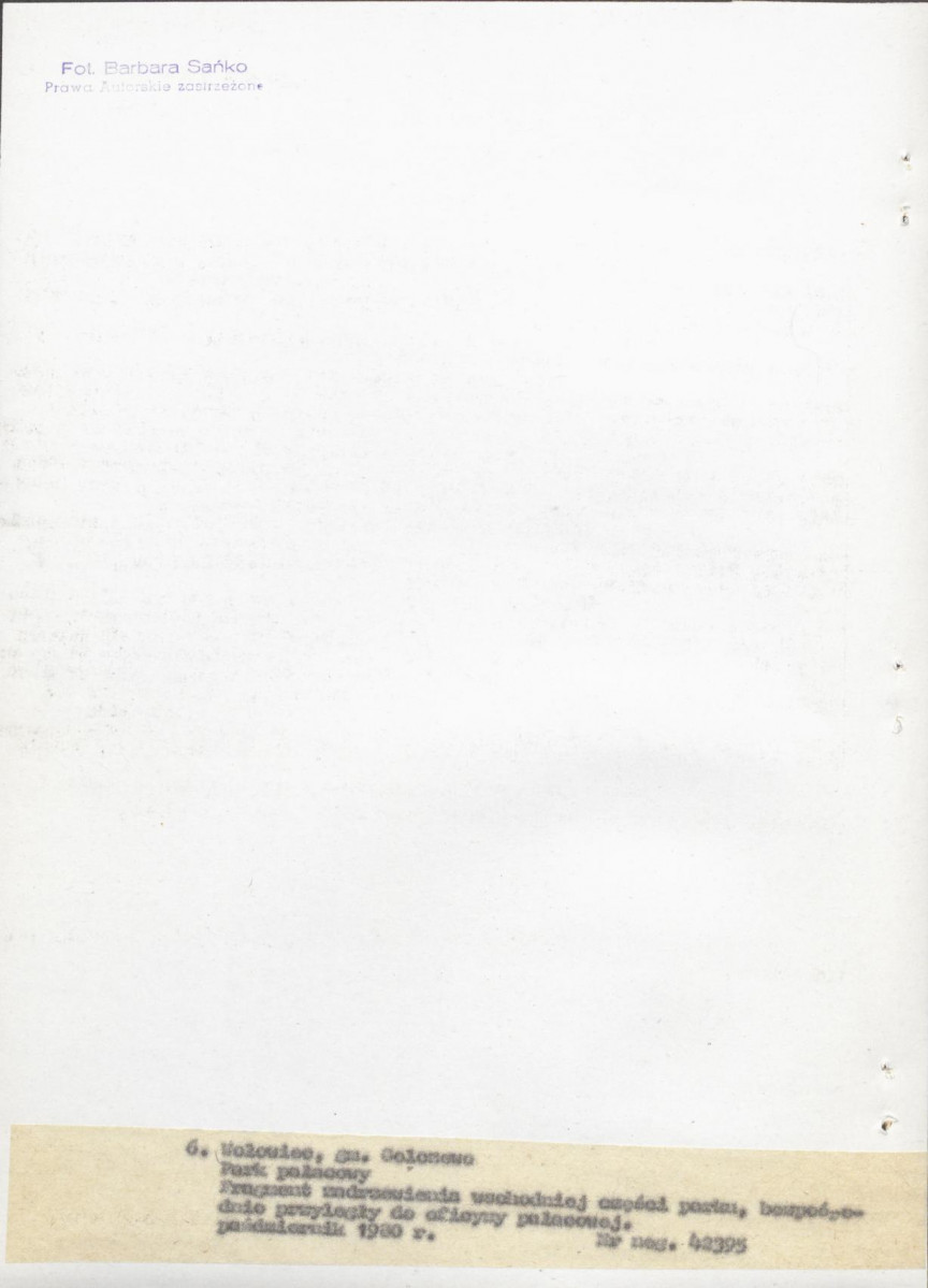 Ewidencja parkowa, skan nr 29