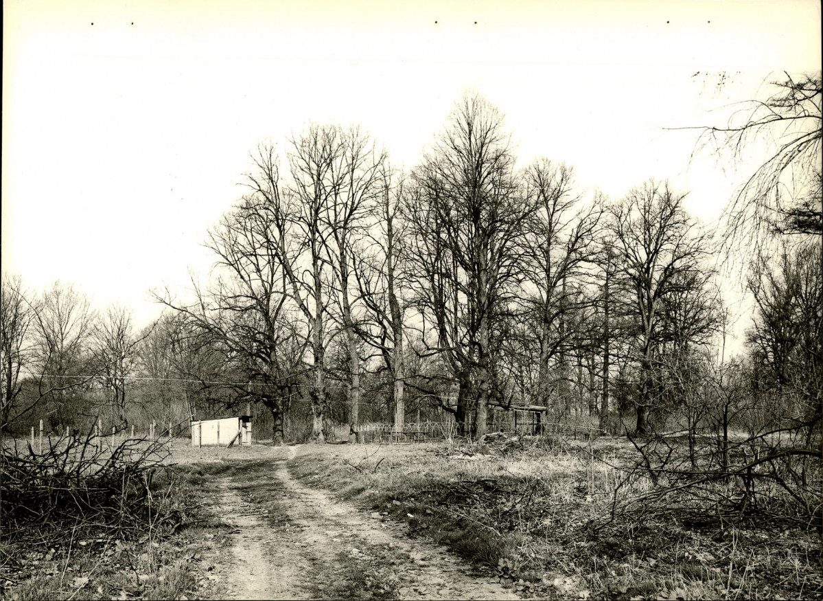 EP - Ewidencja parkowa, skan nr 21