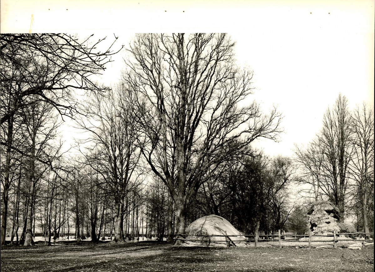 Ewidencja parkowa, skan nr 24
