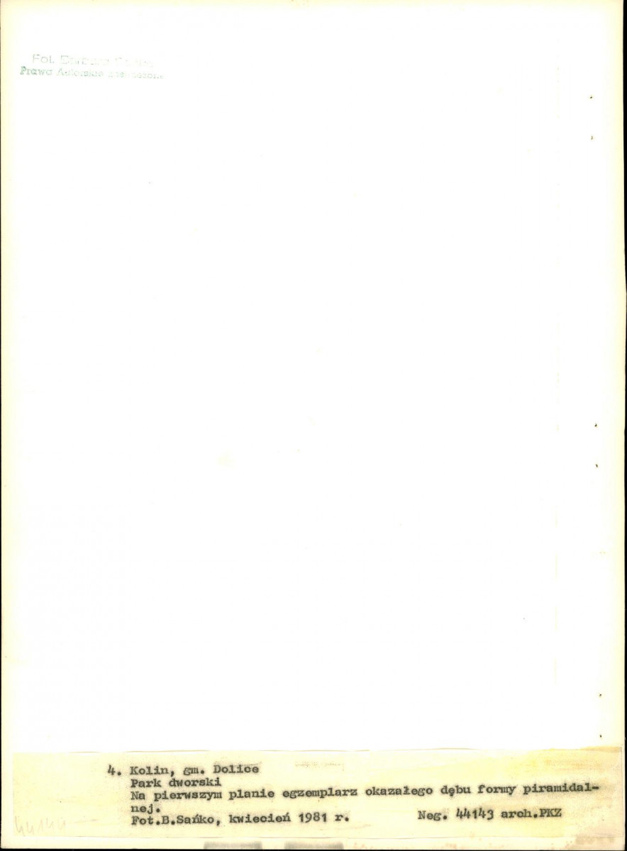 Ewidencja parkowa, skan nr 25
