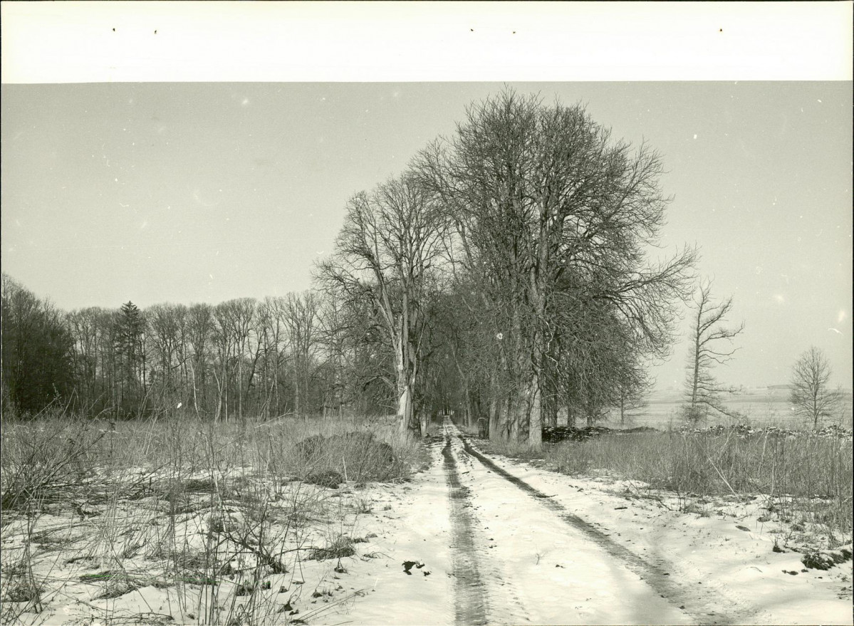 EP - Ewidencja parkowa, skan nr 49