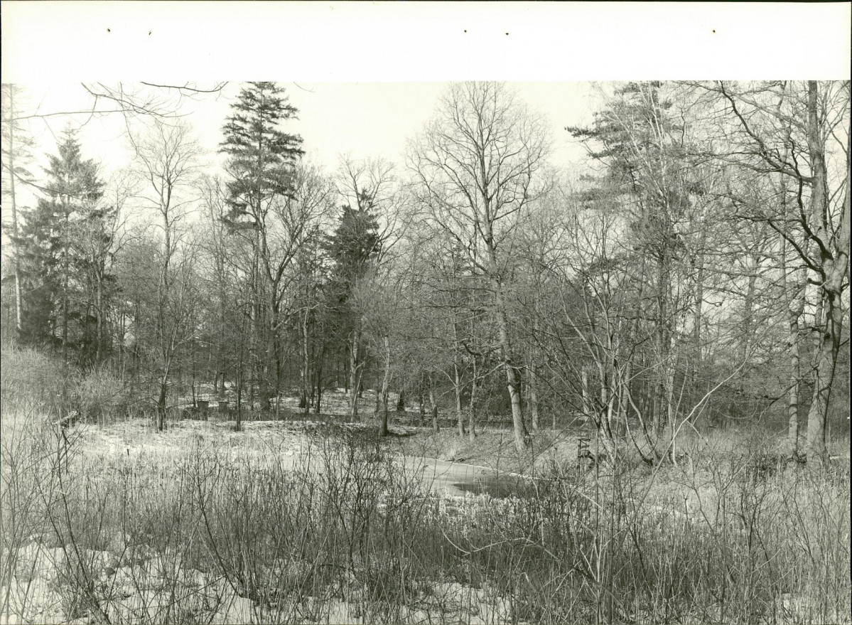 EP - Ewidencja parkowa, skan nr 53