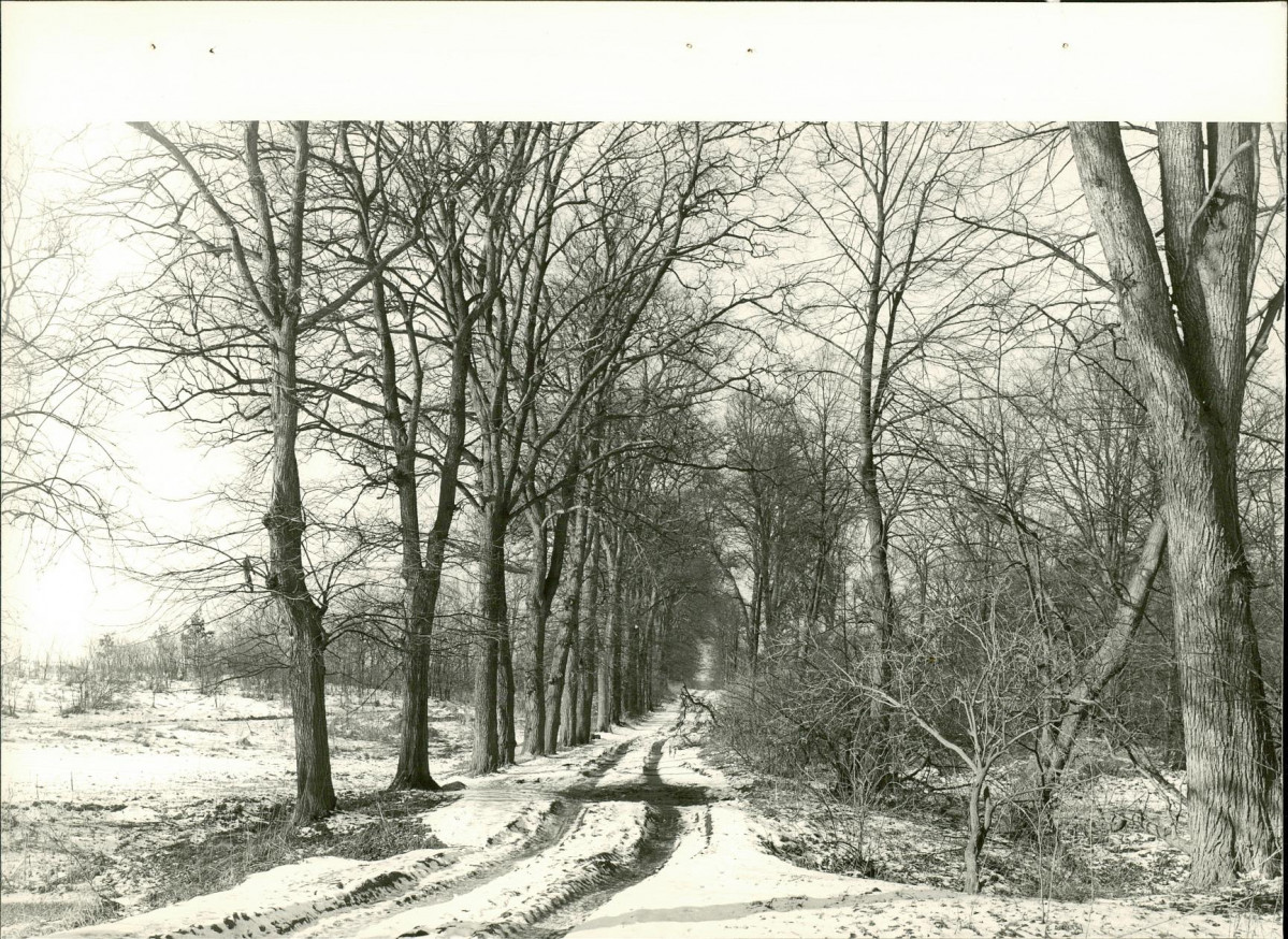 EP - Ewidencja parkowa, skan nr 57
