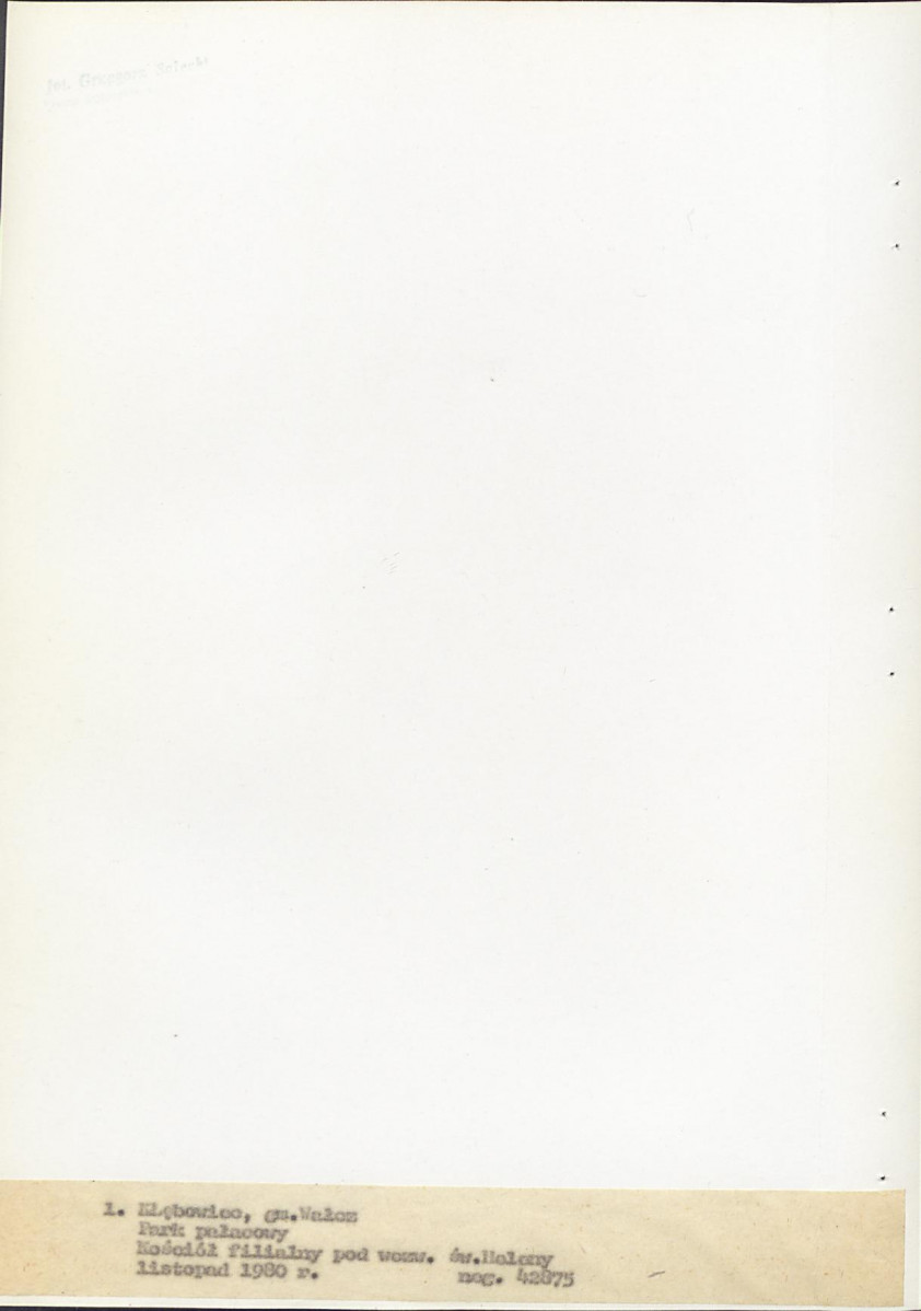 EP - Ewidencja parkowa, skan nr 21