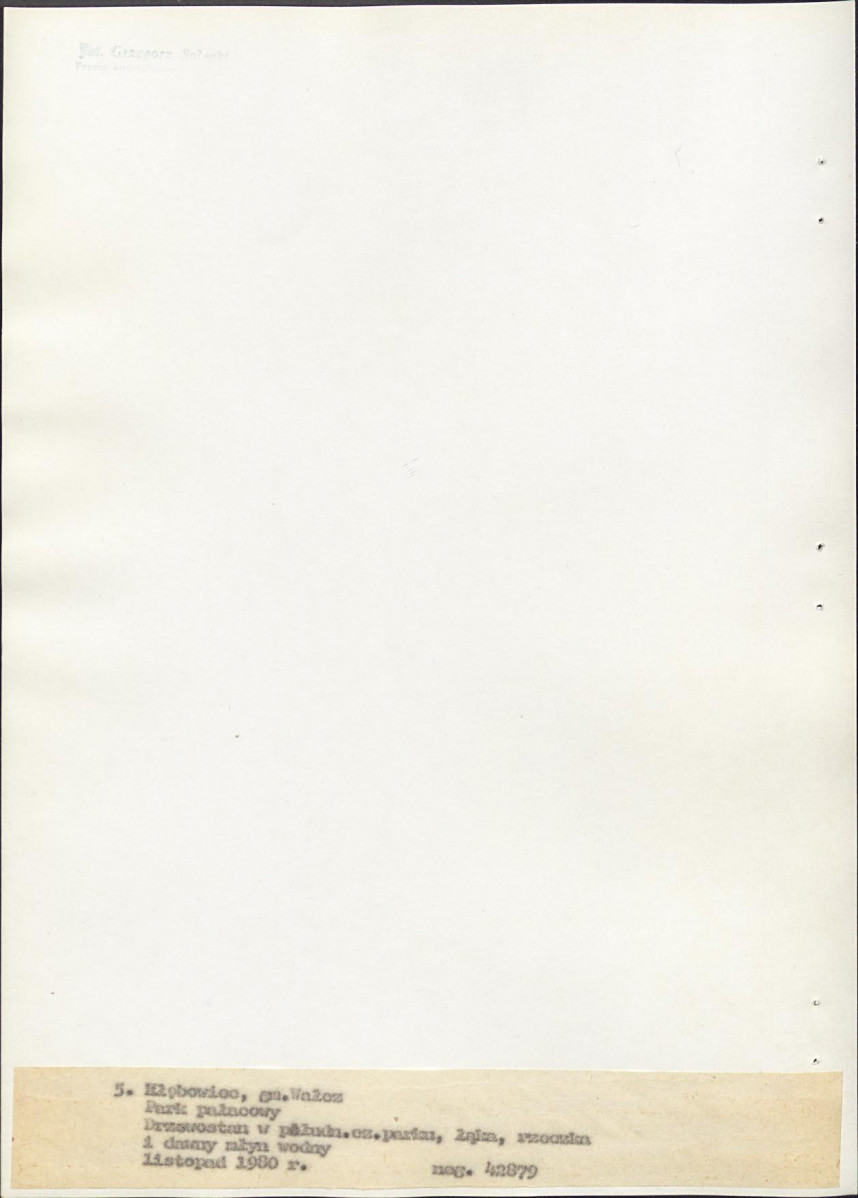 EP - Ewidencja parkowa, skan nr 29