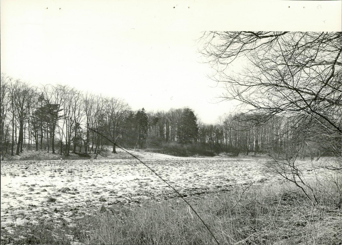 EP - Ewidencja parkowa, skan nr 43