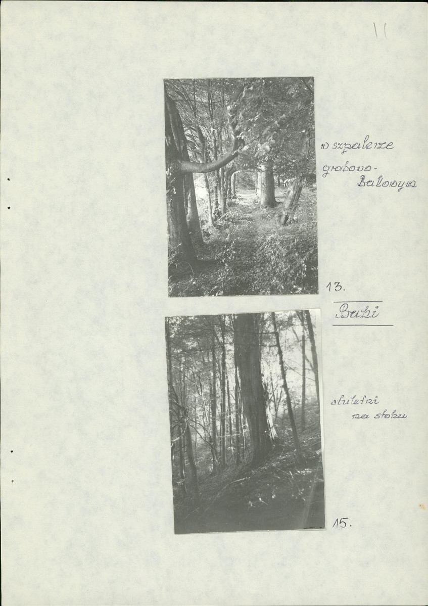 EP - Ewidencja parkowa, skan nr 26