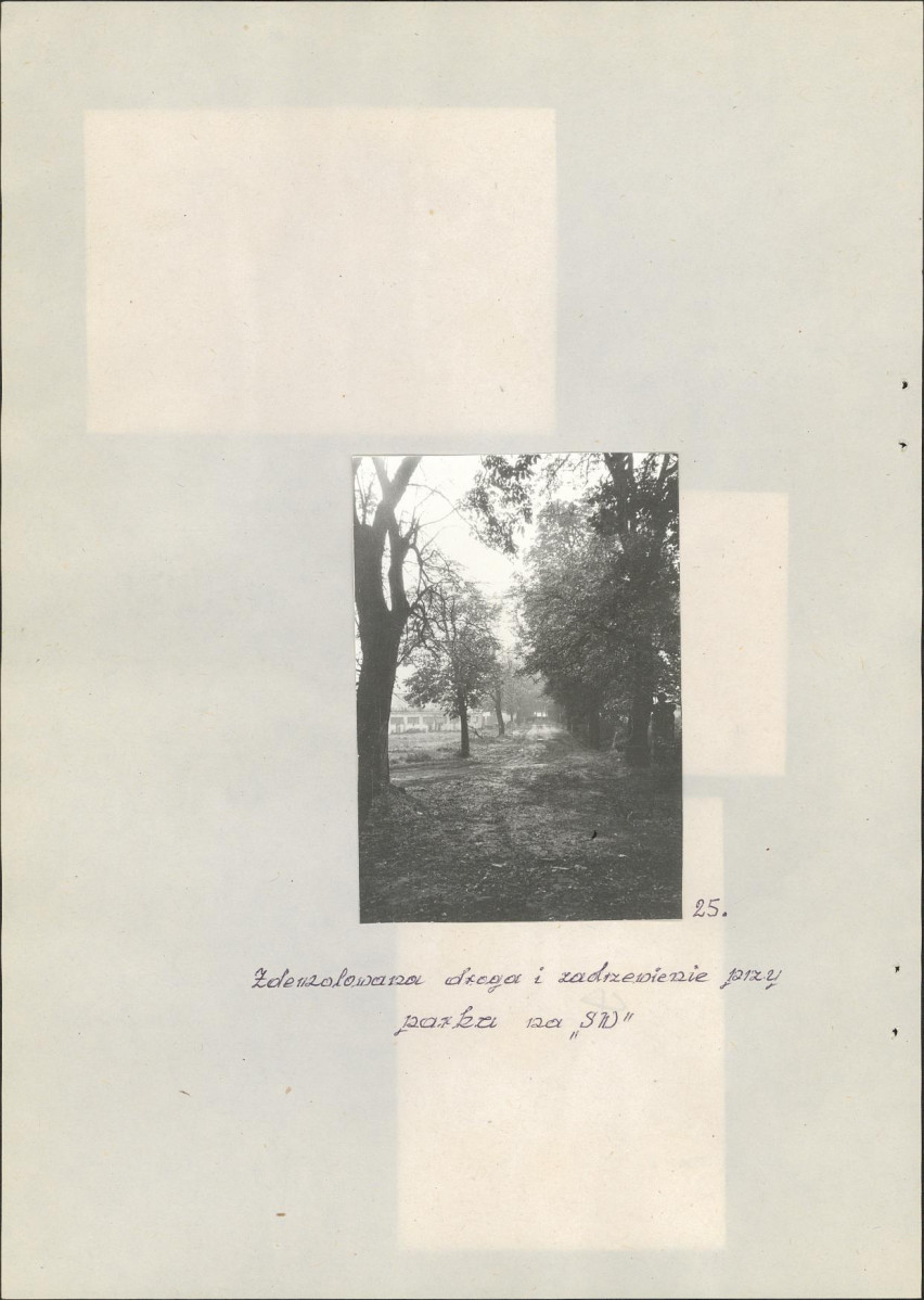 EP - Ewidencja parkowa, skan nr 30