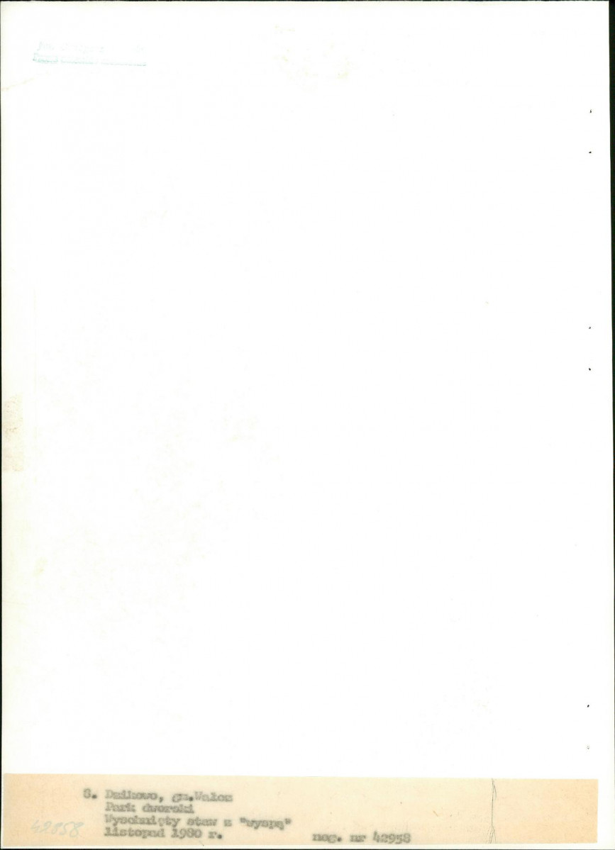 EP - Ewidencja parkowa, skan nr 36