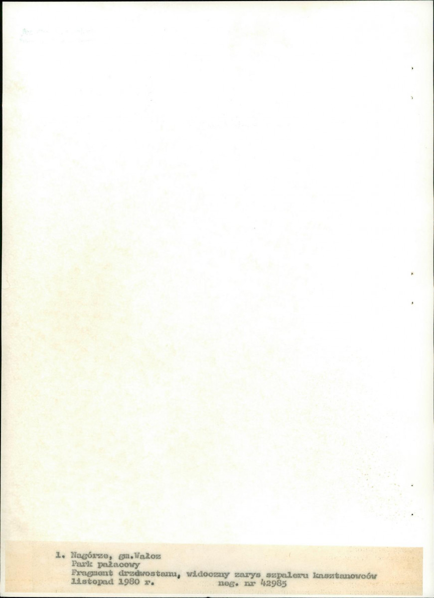 EP - Ewidencja parkowa, skan nr 20