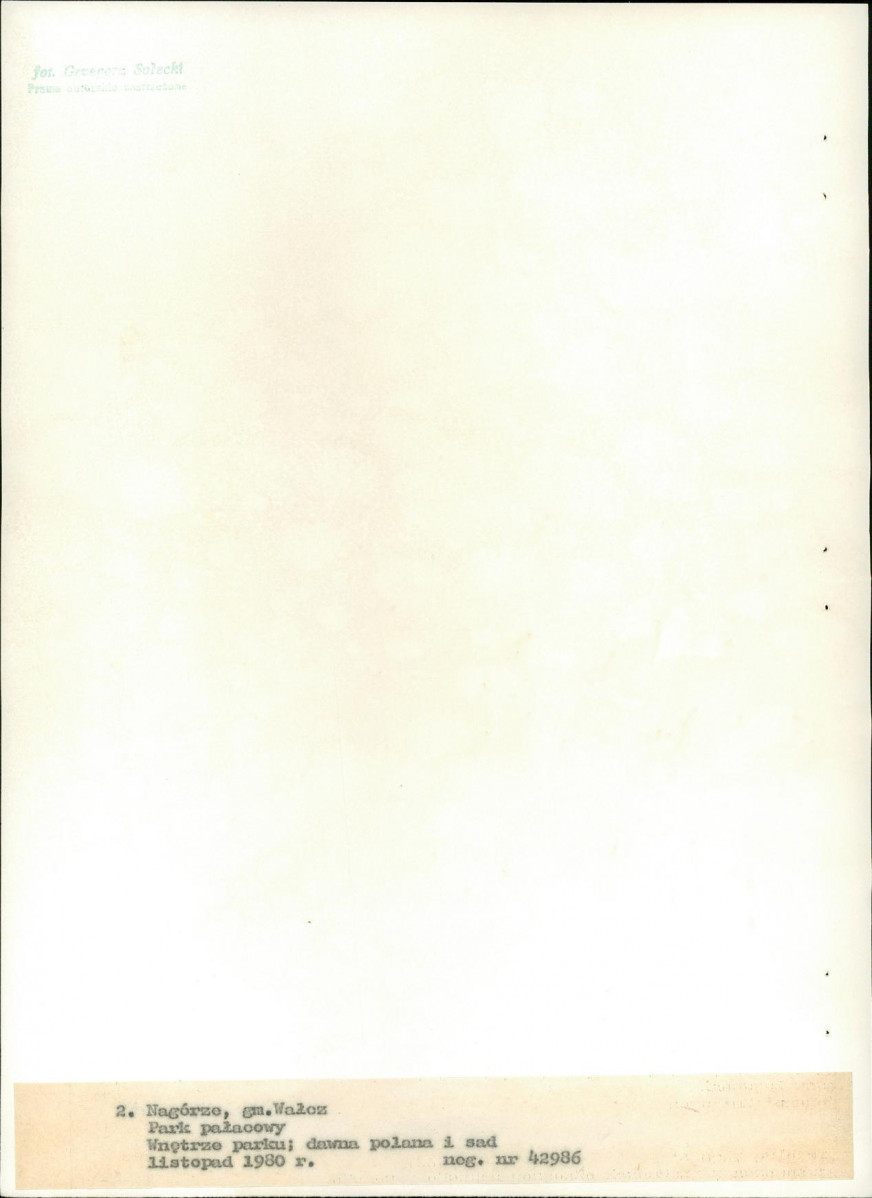 EP - Ewidencja parkowa, skan nr 22