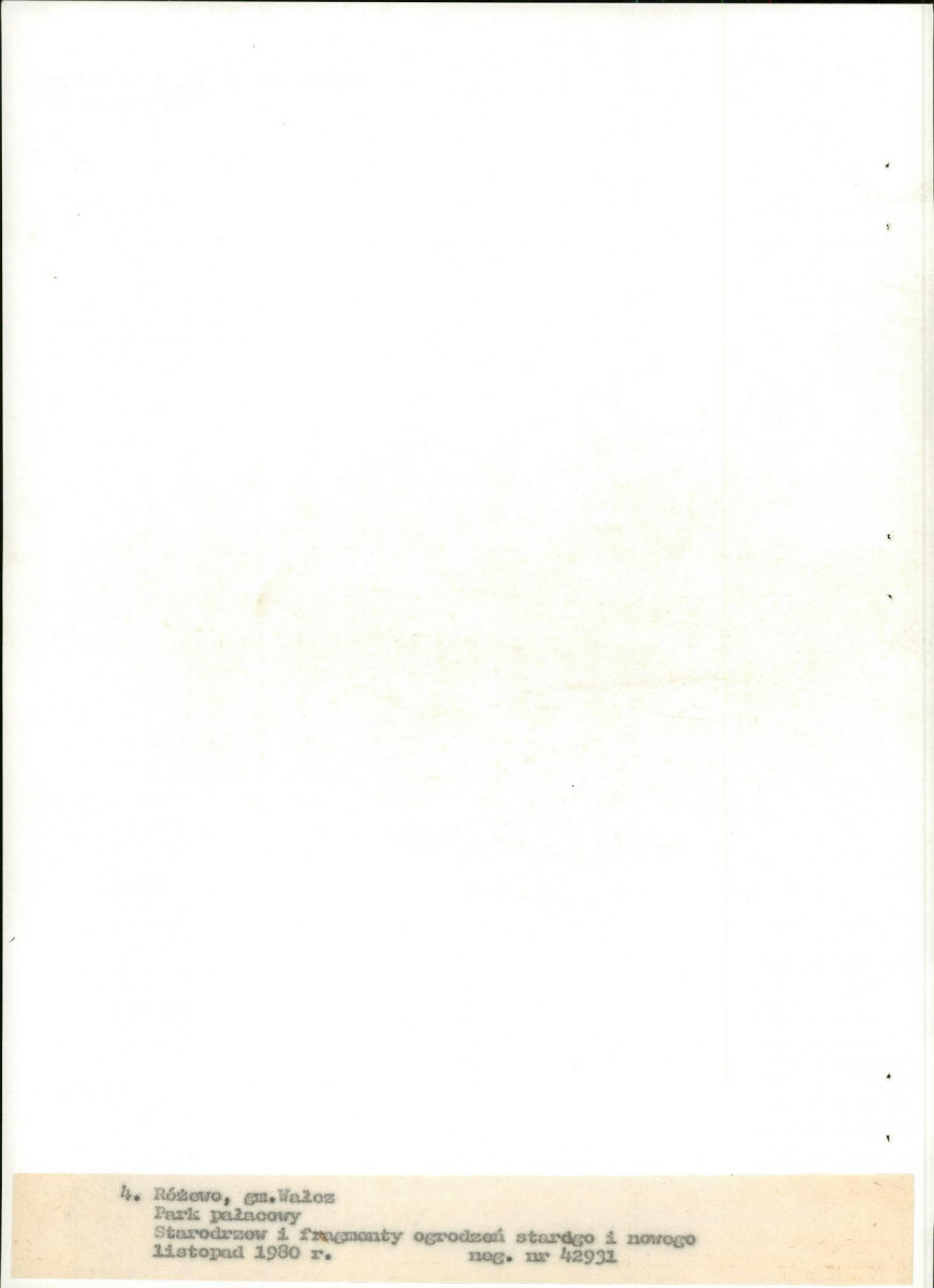 EP - Ewidencja parkowa, skan nr 25