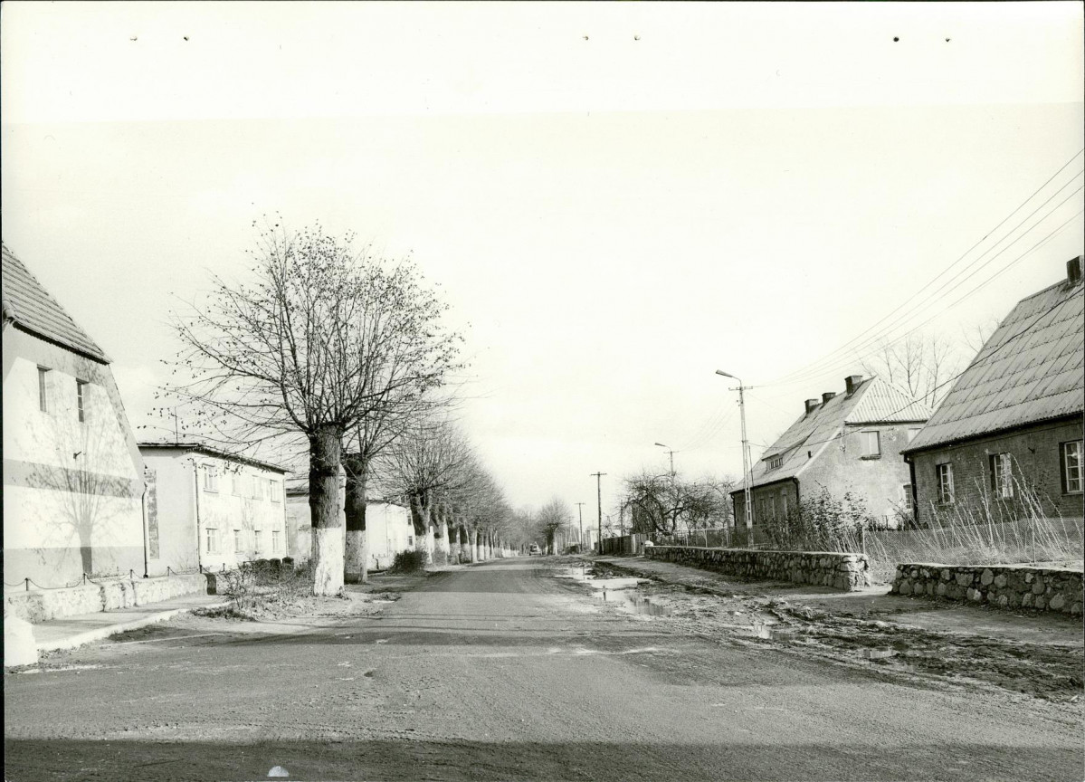 EP - Ewidencja parkowa, skan nr 26