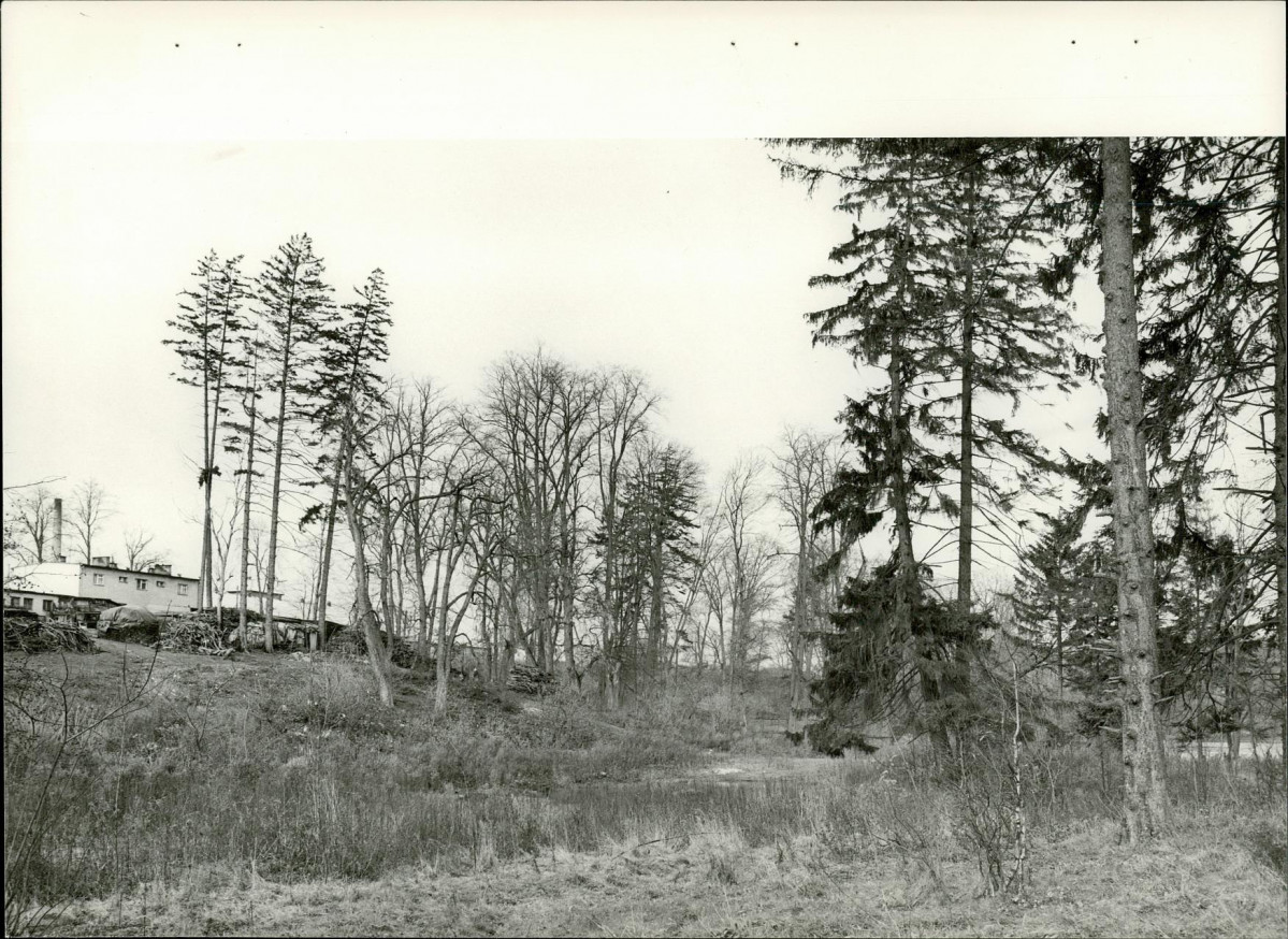 EP - Ewidencja parkowa, skan nr 25