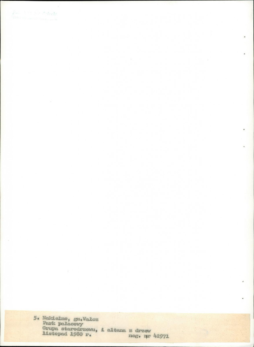 EP - Ewidencja parkowa, skan nr 28