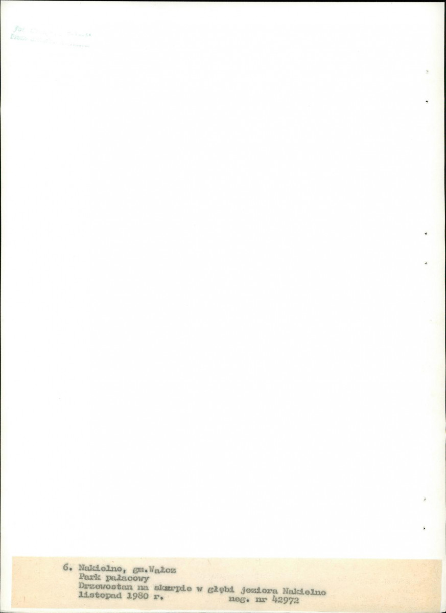 EP - Ewidencja parkowa, skan nr 30